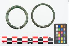 Foto von Bronzering (NHMW-PRAE-025689)